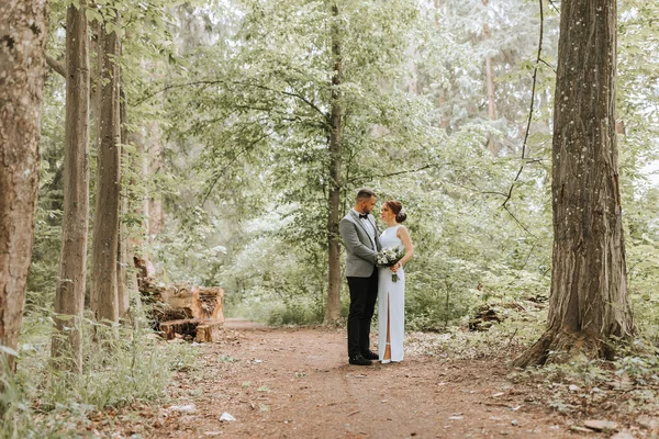 新郎新娘的春婚照 拥抱并看着新娘 高树之间的林间小路 新婚夫妇快乐 — 图库照片