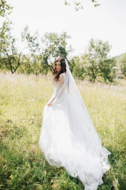 Mutlu gelin soluk pembe elbisesini tutuyor. Gelini güzel bir şekilde takip eden uzun bir peçe. Lensteki kızın bakışı. Gelinin bahçede geçirdiği sabah. Bahar düğünü. Parlak gün ışığı