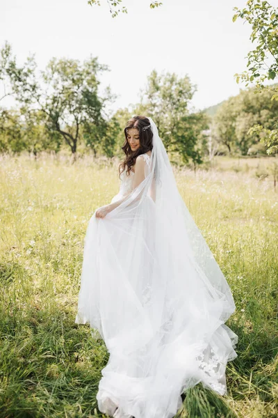 Glückliche Braut Ihrem Blassrosa Kleid Ein Langer Schleier Der Der — Stockfoto