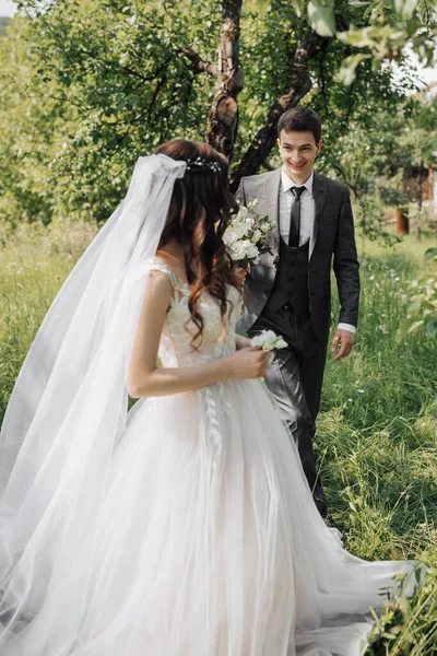 Det Första Bröllopsmötet Trädgården Ett Möte Med Nygifta Ett Grönt — Stockfoto