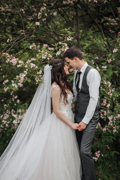 Mutlu Genç Çift Düğün Portresi Gelin Damadı Nazikçe Kucakladı Onlar — Stok fotoğraf