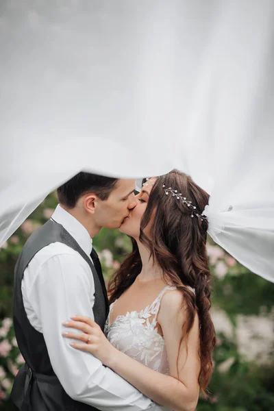 Jovem Casal Feliz Retrato Casamento Noiva Noivo Ternamente Beijam Abaixo — Fotografia de Stock