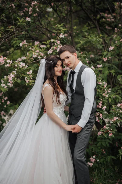 Mutlu Genç Çift Düğün Portresi Gelin Damadı Nazikçe Kucakladı Onlar — Stok fotoğraf