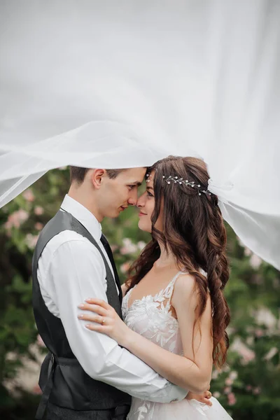 Jovem Casal Feliz Retrato Casamento Noiva Noivo Ternamente Beijam Abaixo — Fotografia de Stock