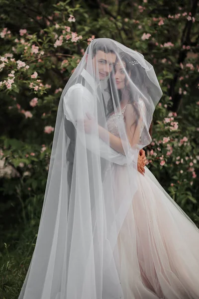 Happy young couple. Wedding portrait. The bride and groom gently snuggled up to each other under a veil against the background of a blooming bush. Wedding bouquet. Spring wedding
