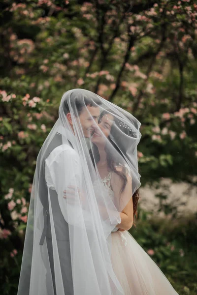快乐的年轻夫妇 婚礼肖像 新娘和新郎在一朵盛开的灌木的衬托下 轻轻地依偎在一起 结婚花束 春天的婚礼 — 图库照片