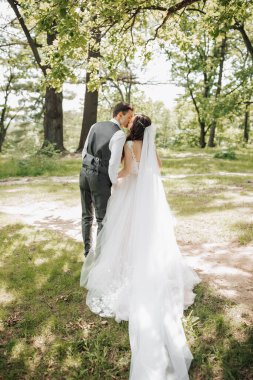 Stylish young brides, happy on their day, enjoy each other. They are walking in the spring park. Photo from the back. Spring wedding. Natural makeup clipart