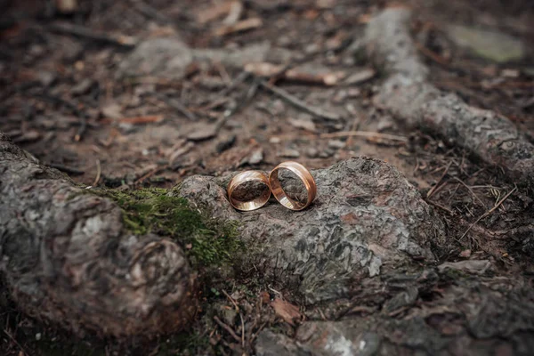 結婚式の写真 結婚指輪を閉じると木の樹皮にあります 木の上の素朴な花輪の近くに素晴らしいスタイリッシュな結婚指輪 — ストック写真