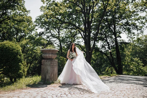 Una Giovane Sposa Elegante Bellissimo Abito Lussureggiante Colore Bianco Rosa — Foto Stock