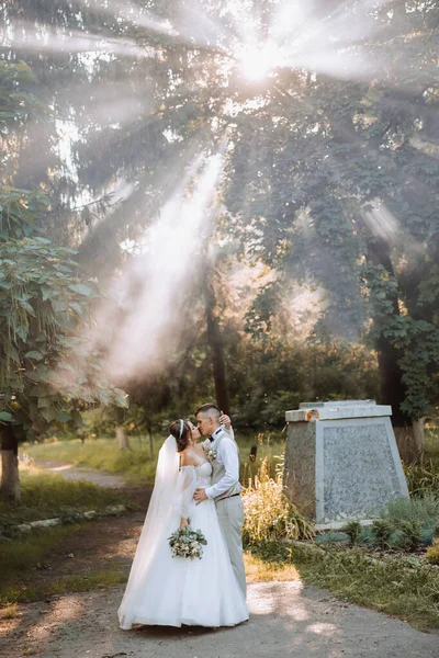 在他们结婚的那天 这对年轻漂亮的情侣恋爱了 在公园里散步时 阳光穿过树叶 新娘和新郎拥抱在一起 令人惊叹的亲吻和拥抱 — 图库照片