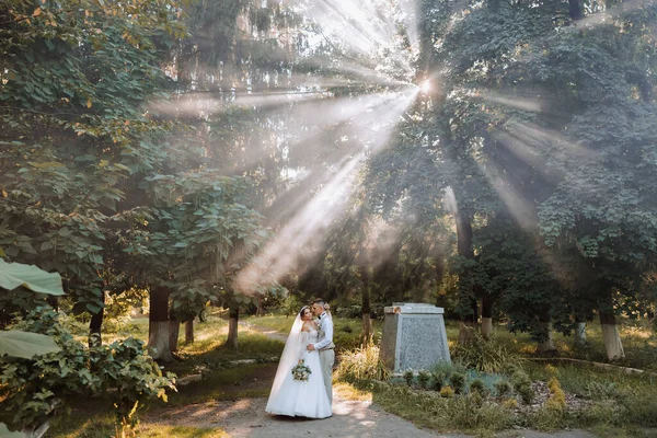 아름다운 부부가 결혼식 사랑에 빠졌죠 잎사귀들 사이로 햇빛을 받으며 공원을 — 스톡 사진