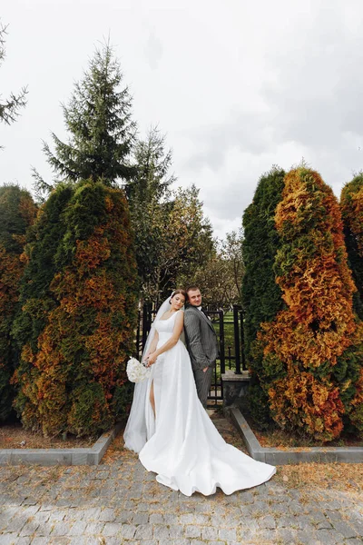 Жених Невеста Склонились Плечами Парке Пара Молодоженов Невеста Жених Свадьбе — стоковое фото