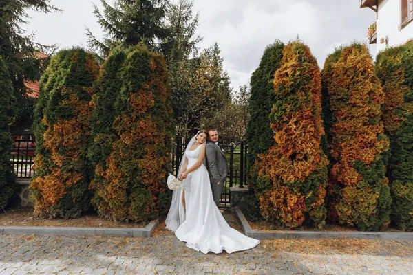 Жених Невеста Склонились Плечами Парке Пара Молодоженов Невеста Жених Свадьбе — стоковое фото