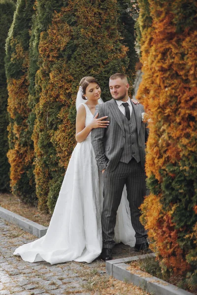 Bruden Och Brudgummen Lutade Sina Axlar Parken Ett Par Nygifta — Stockfoto