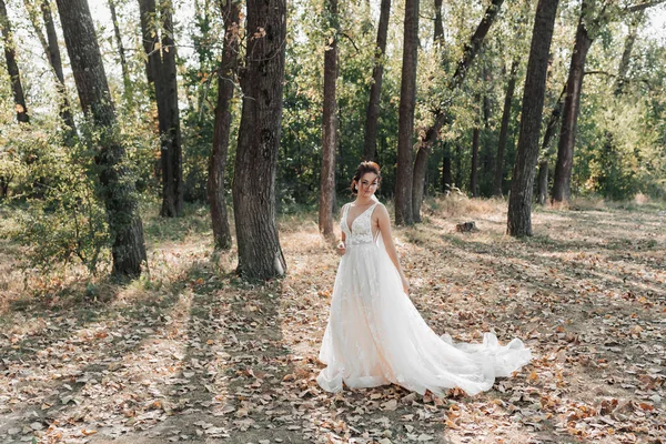 Noiva Vestido Branco Com Trem Longo Está Andando Floresta Olhando — Fotografia de Stock