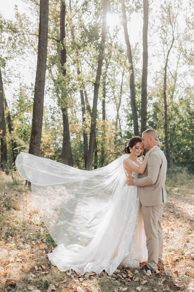 Φωτογραφία Γάμου Νύφη Και Γαμπρός Στέκονται Στο Δάσος Αγκαλιασμένοι Γαμπρός — Φωτογραφία Αρχείου
