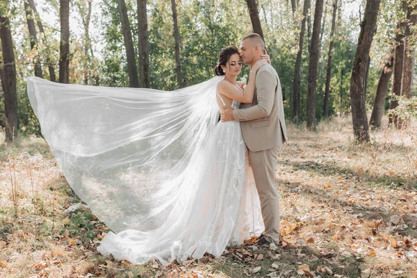 Esküvői Fotó Menyasszony Vőlegény Erdőben Állnak Ölelkezve Vőlegény Gyengéden Megcsókolja — Stock Fotó