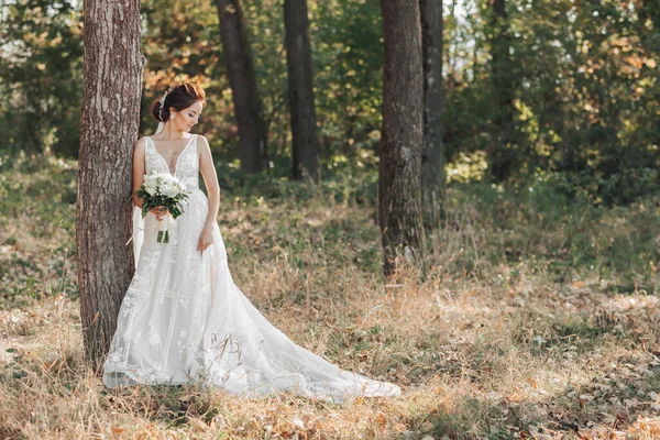 婚纱照在自然界 新娘穿着漂亮的衣服站在一棵树旁 手里拿着一束白玫瑰 望着旁边 漂亮的新娘妆容 肖像画 — 图库照片