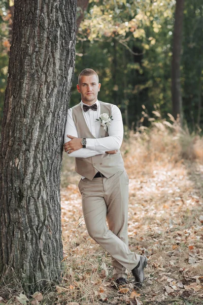 新郎の肖像画 ライトグレーのスーツの新郎は 森の中に立っている 木にもたれて カメラのレンズを見ている 自然界の結婚式 — ストック写真