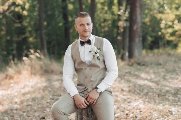 Portrait of the groom in the forest. The groom in a light gray vest is sitting on a wooden stand. Stylish, elegant groom posing with brown bow tie, watch, vest and white shirt.