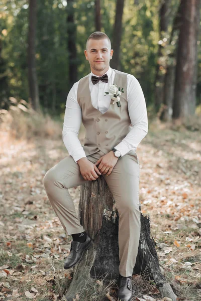 森の中の新郎の肖像画 薄い灰色のベストの新郎は木製のスタンドに座っている 茶色の蝶ネクタイ ベストと白のシャツを身に着けているスタイリッシュでエレガントな新郎ポージング — ストック写真