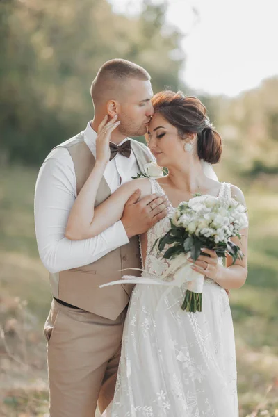 Esküvői Fotó Természetben Menyasszony Vőlegény Erdőben Állnak Vőlegény Hátulról Megöleli — Stock Fotó