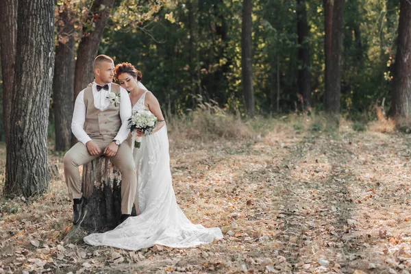 自然の中で結婚式の写真 新郎は木製のスタンドに座っていると 花嫁は 彼の肩にもたれて 彼の横に立って花束を保持している 花嫁と新郎の肖像 — ストック写真