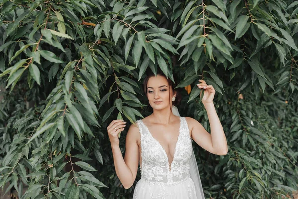 緑の背景に結婚式の写真 白いドレスの花嫁は緑の茂みの近くに立って 葉を保持し 見下ろしています 美しいメイク 花嫁の肖像画 — ストック写真