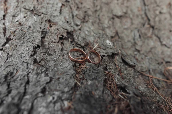 結婚指輪は木の背景に立っている 結婚式の詳細 木の上の指輪 結婚式の写真 木の樹皮に横たわる結婚指輪のクローズアップ — ストック写真