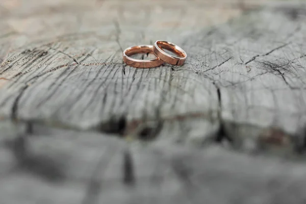 結婚指輪は木の背景に立っている 結婚式の詳細 木の上の指輪 結婚式の写真 結婚指輪のクローズアップは 木の樹皮に横たわっている 背景がぼやけて — ストック写真