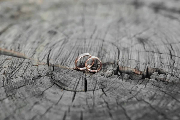 Βέρες Στέκονται Φόντο Δέντρου Λεπτομέρειες Γάμου Δαχτυλίδια Ένα Δέντρο Φωτογραφία — Φωτογραφία Αρχείου