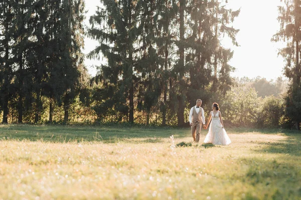 Los Recién Casados Felices Están Corriendo Campo Tomados Mano Mirándose —  Fotos de Stock