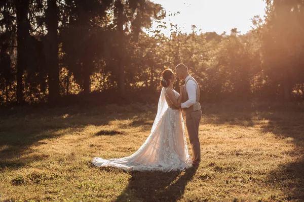 Huwelijksfoto Bruid Bruidegom Staan Een Prachtig Bos Mooi Licht Knuffelend — Stockfoto