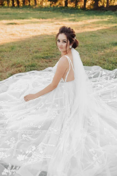 Retrato Boda Novia Una Hermosa Novia Está Sentada Vestido Blanco —  Fotos de Stock