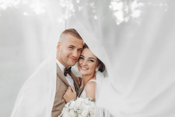 Retrato Casamento Noiva Noivo Recém Casados Felizes Gentilmente Abraçam Sob — Fotografia de Stock