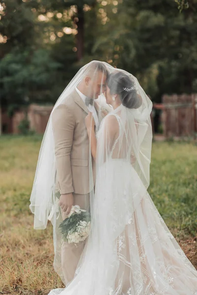 Esküvői Portré Menyasszonyról Vőlegényről Boldog Menyasszony Vőlegény Gyengéden Megölelik Egymást — Stock Fotó