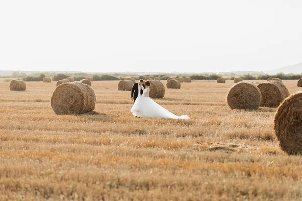 Retrato Casamento Noiva Noivo Andando Sobre Fundo Feno Noivo Segura — Fotografia de Stock