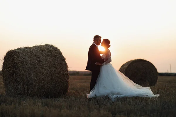 Retrato Casamento Noiva Noivo Bride Groom Stand Abraçando Pôr Sol — Fotografia de Stock