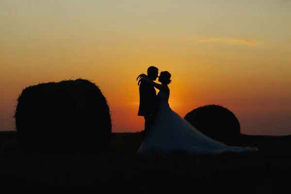 Retrato Casamento Noiva Noivo Bride Groom Stand Abraçando Pôr Sol — Fotografia de Stock