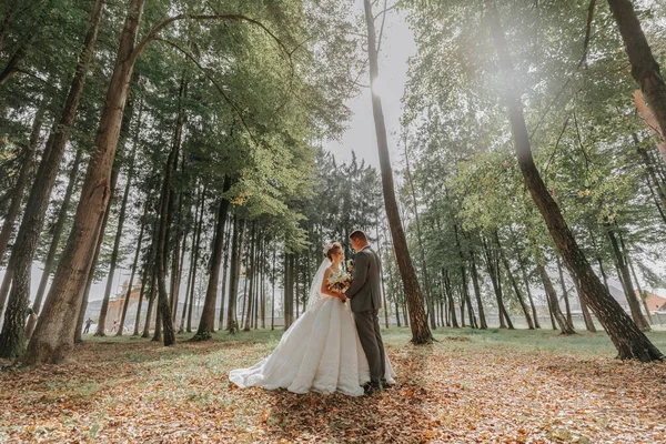 新娘和新郎手牵手穿过森林 一对快乐的夫妇婚纱照恋爱中的情侣高大的树 广角照片 完美的光 — 图库照片