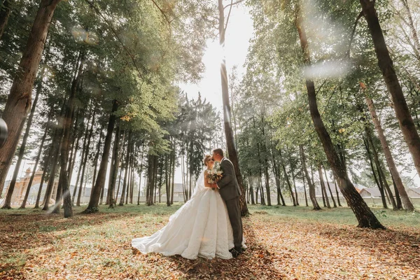 新娘和新郎手牵手穿过森林 一对快乐的夫妇婚纱照恋爱中的情侣高大的树 广角照片 完美的光 — 图库照片