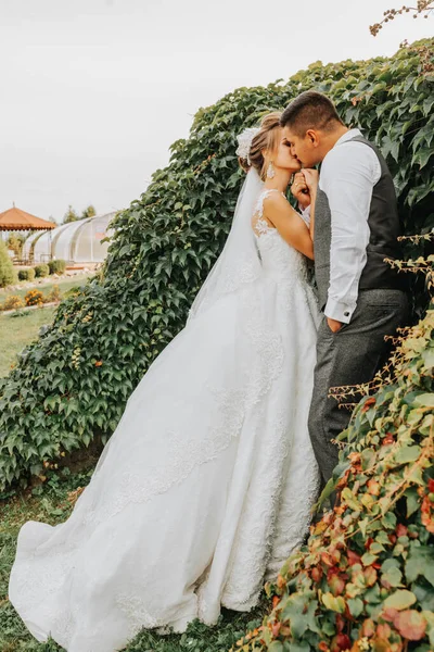 Bruid Bruidegom Tuin Tussen Het Groen Koninklijk Huwelijksconcept Chique Bruidsjurk — Stockfoto