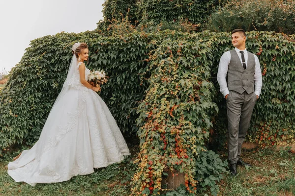 Brautpaar Garten Inmitten Von Grün Royal Wedding Konzept Schickes Brautkleid — Stockfoto