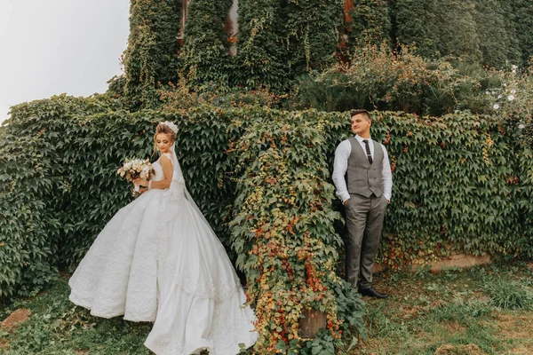 新娘和新郎在花园里的青翠中 皇家婚礼的概念 别致的新娘的礼服和长长的火车 温柔和沉着 肖像摄影 — 图库照片
