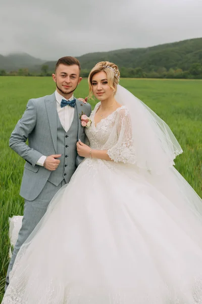 山の背景に緑の牧草地にポーズを花嫁と新郎の肖像画 新郎新婦はカメラを見て抱き合って立っています 素晴らしいドレスだ スタイリッシュな新郎 結婚式の写真 — ストック写真