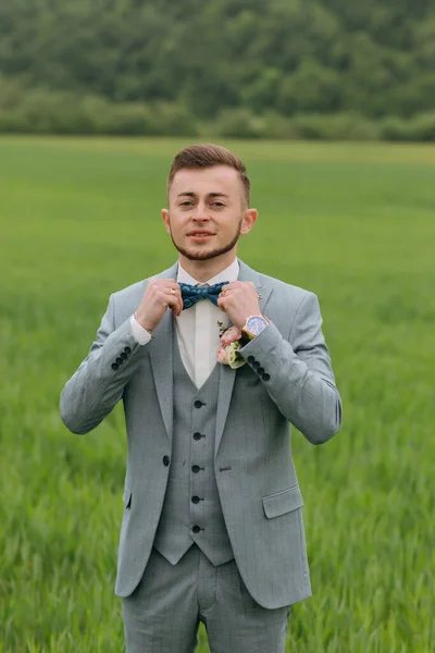 Portrait Groom Standing Background Green Field Fixing Butterfly Stylish Groom — Stock Photo, Image