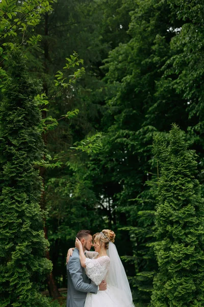 Retrato Noiva Noivo Sobre Fundo Árvores Verdes Abraçando Noiva Sorri — Fotografia de Stock