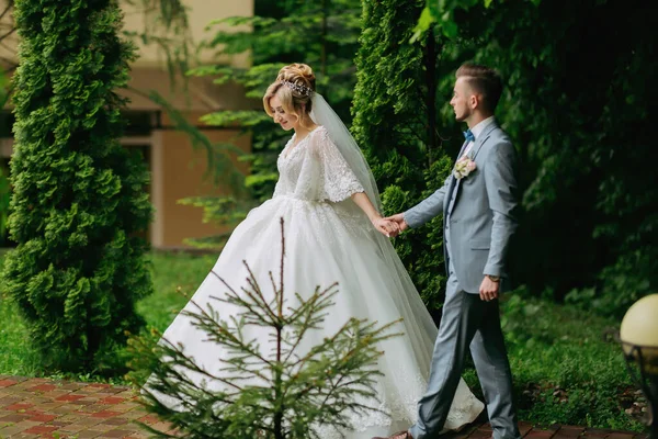 在大自然中举行婚礼新娘和新郎在树后散步的照片 新娘和新郎牵着手 新娘在新郎面前 时髦的新郎 漂亮的新娘 — 图库照片