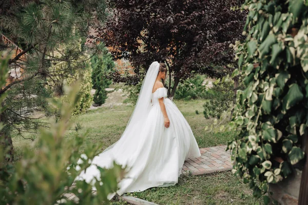 커다랗고 드레스를 신부와 베일을 정원을 사이드 신부의 초상화 아름다운 곱슬머리 — 스톡 사진