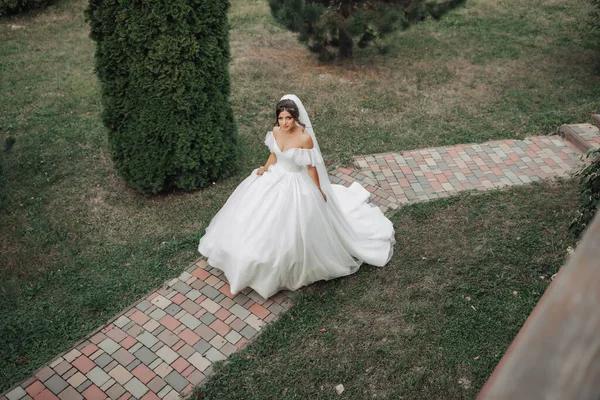 커다랗고 드레스를 신부와 베일을 정원을 위에서 신부의 초상화 아름다운 곱슬머리 — 스톡 사진